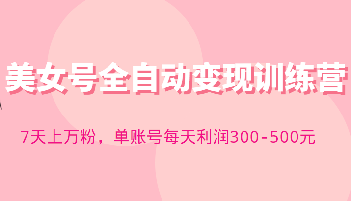 快手美女号全自动变现训练营，7天上万粉，单账号每天利润300-500元-颜夕资源网-第11张图片