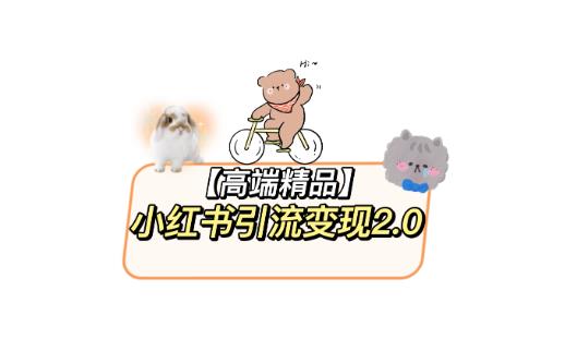 小红书最新引流变现2.0教程，全网最新最详细的视频教程+素材-颜夕资源网-第11张图片