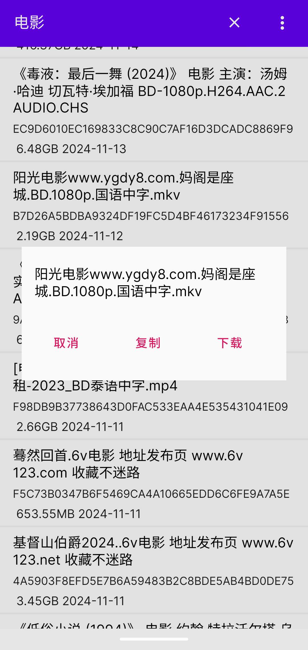 种子磁力搜索解锁会员版-颜夕资源网-第13张图片