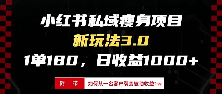 小红书瘦身项目3.0模式，新手小白日赚收益1000+（附从一名客户裂变收益，被动收益1W）-颜夕资源网-第13张图片