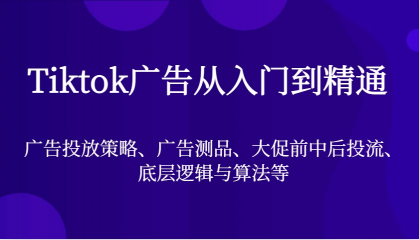 Tiktok广告从入门到精通，广告投放策略、广告测品、大促前中后投流、底层逻辑与算法等-颜夕资源网-第13张图片