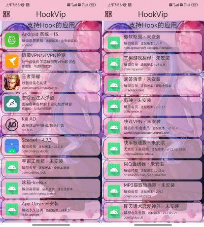 HookVip_v4.0.0多软件破解工具-颜夕资源网-第13张图片