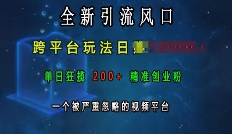 引流风口，跨平台玩法日入上k，单日200+创业粉，一个被严重忽略的视频平台-颜夕资源网-第13张图片