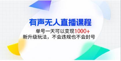 有声无人直播课程，单号一天可以变现1000+，新升级玩法，不会违规也不会封号-颜夕资源网-第13张图片