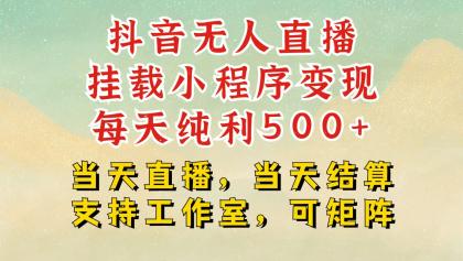 抖音无人挂机项目，轻松日入500+,挂载小程序玩法，不违规不封号，有号的一定挂起来-颜夕资源网-第13张图片