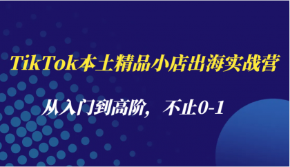 TikTok本土精品小店出海实战营，从入门到高阶，不止0-1-颜夕资源网-第13张图片
