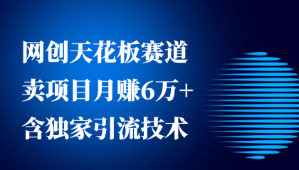 网创天花板赛道，卖项目月赚6万+，含独家引流技术（共26节课）-颜夕资源网-第13张图片
