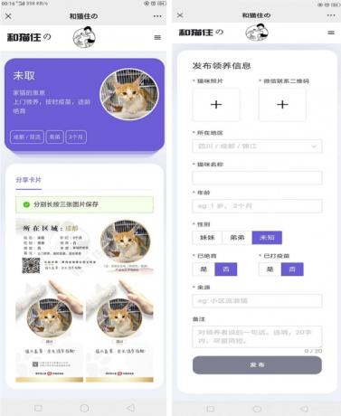 流浪猫流浪狗领养源码-颜夕资源网-第19张图片