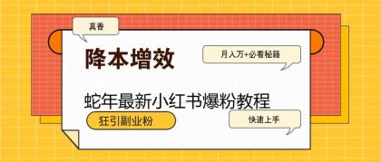 蛇年最新小红书爆粉教程，狂引副业粉，月入万+必看-颜夕资源网-第13张图片