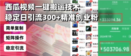 西瓜视频一键搬运技术，稳定日引流300+精准创业粉，简单可复制给团队-颜夕资源网-第13张图片