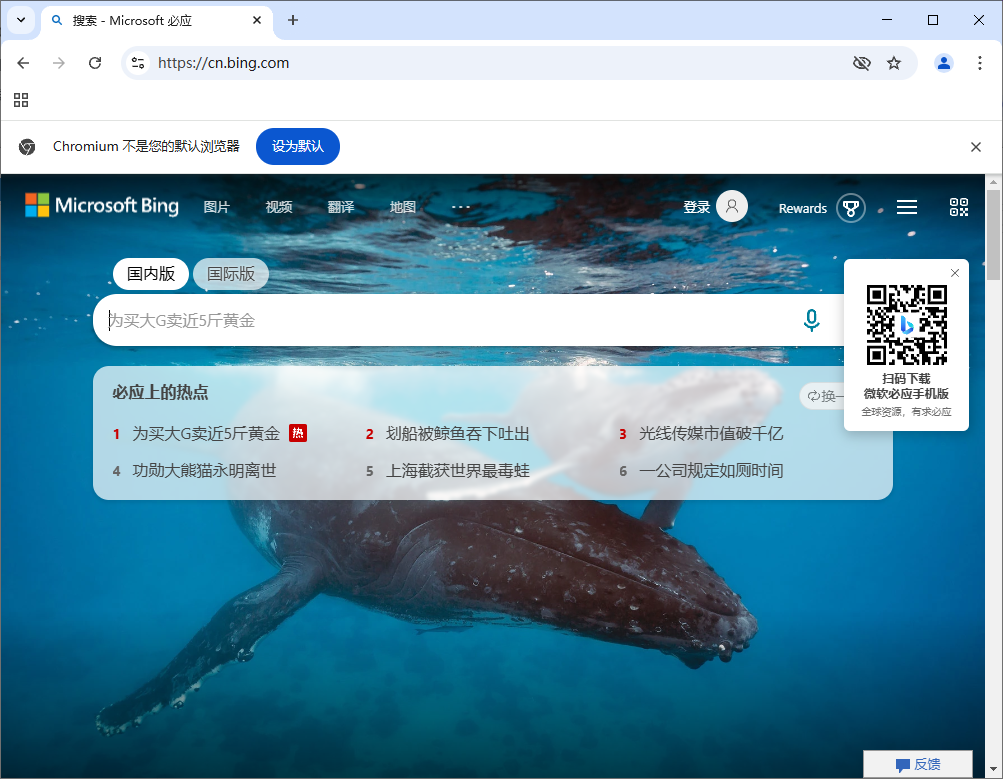 Ungoogled-Chromium v133.0.6943.98-1.1 中文绿色版-颜夕资源网-第13张图片