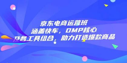 京东电商运营班：涵盖快车，DMP核心及各工具组合，助力打造爆款商品-颜夕资源网-第13张图片