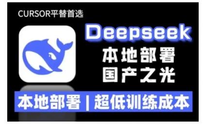 2025年deepseek R1 大型模型当地部署应用(文档 实例教程)本地部署，极低练习成本费-颜夕资源网-第17张图片