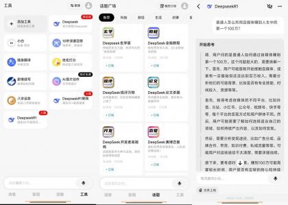问小白-DeepSeek满血版无限制-颜夕资源网-第13张图片