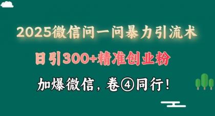 2025最新微信问一问暴力行为引流术揭密，日引300 自主创业粉，单日转现四位数-颜夕资源网-第13张图片