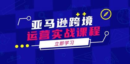 亚马逊跨境运营实战课程：涵盖亚马逊运营、申诉、选品等多个方面-颜夕资源网-第13张图片