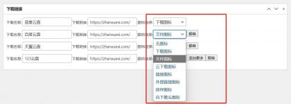 ds-download-link 插件：以独特图标选择，打造文章下载链接新体验！-颜夕资源网-第14张图片