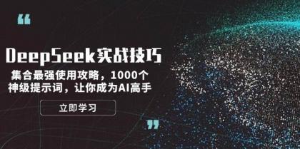 DeepSeek实战技巧：集合最强使用攻略，1000个神级提示词，让你成为AI高手-颜夕资源网-第13张图片