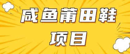 闲鱼平台高转化新项目，教你如何做，日入3张 (详尽实例教程 一手货源)-颜夕资源网-第13张图片