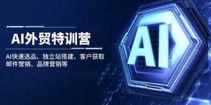 AI外贸特训营：AI快速选品、独立站搭建、客户获取、邮件营销、品牌营销等-颜夕资源网-第13张图片