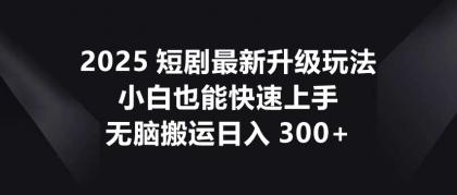 2025短剧最新升级玩法，小白也能快速上手，无脑搬运日入300+-颜夕资源网-第13张图片