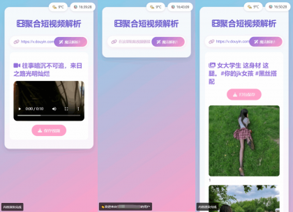 全新二次元聚合短视频解析去水印系统源码 自适应双端-颜夕资源网-第13张图片