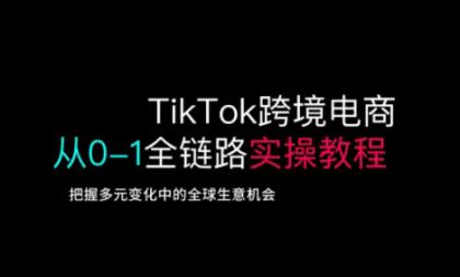TikTok跨境电子商务从0-1全链路营销多方位实际操作实例教程，掌握多元化发展中全球买卖机遇-颜夕资源网-第13张图片