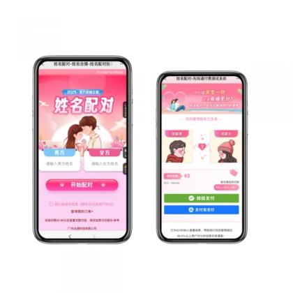 2025姓名配对测算最新源码-颜夕资源网-第13张图片