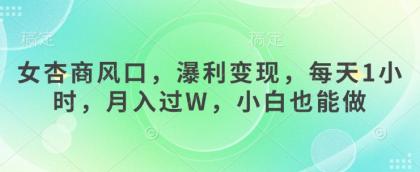 女杏商出风口，瀑利转现，每日1钟头，月入了W，新手也可以做-颜夕资源网-第13张图片