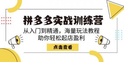 拼多多实战训练营，从入门到精通，海量玩法教程，助你轻松起店盈利-颜夕资源网-第13张图片