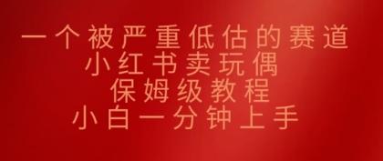 一个被严重低估的赛道，小红书的卖公仔，家庭保姆级实例教程，小白一min入门-颜夕资源网-第13张图片