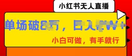 小红书无人直播，纯小白可做，有手就行，单场直播销售额破8w-颜夕资源网-第13张图片