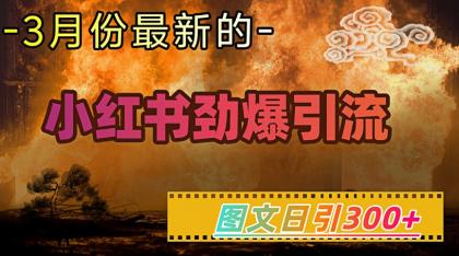 小红书的超劲爆引流方法方式，图文并茂日引300 轻轻松松转现1W-颜夕资源网-第13张图片