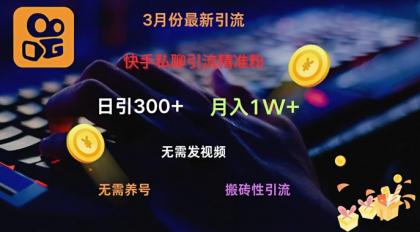 快手视频私信引流方法精准粉，当日奏效不用上传视频打金引流法日引300-颜夕资源网-第13张图片