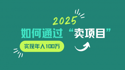 2025年如何通过“卖项目”实现年入100w-颜夕资源网-第13张图片