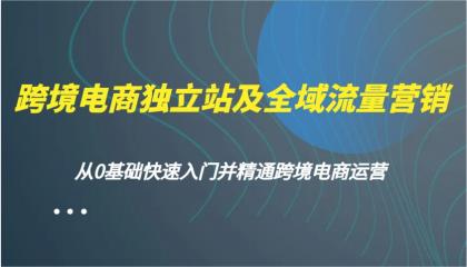 跨境电商独立站及全域流量营销，从0基础快速入门并精通跨境电商运营-颜夕资源网-第18张图片