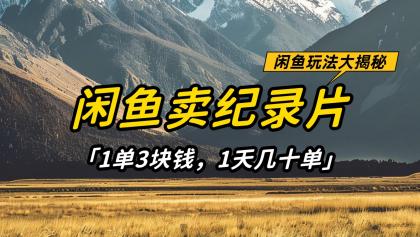 闲鱼卖纪录片，简单又赚钱的小项目，1单3块钱 1天几十单-颜夕资源网-第13张图片