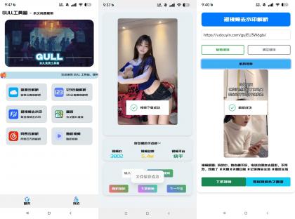 GULL工具箱-视频去水印/网盘解析下载等-颜夕资源网-第13张图片