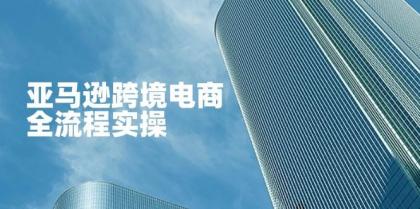 亚马逊跨境电商全流程实操，教你从零开始，掌握店铺运营与广告技巧-颜夕资源网-第13张图片