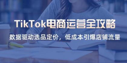 TikTok电商运营全攻略，数据驱动选品定价，低成本引爆店铺流量-颜夕资源网-第13张图片