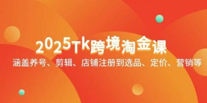 2025Tk跨境淘金课：涵盖养号、剪辑、店铺注册到选品、定价、营销等