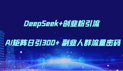 DeepSeek+创业粉引流 AI矩阵日引300+ 副业人群流量密码-颜夕资源网-第12张图片