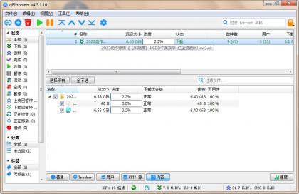 qBittorrent(强大的BT下载工具)v5.1.0.10中文绿色增强版