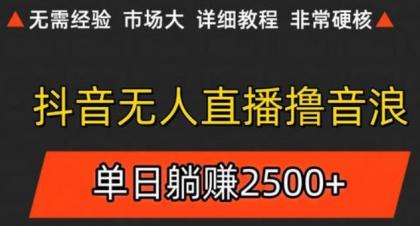 抖音无人直播6.0 简单无脑可矩阵 每天两小时轻松躺赚500+-颜夕资源网-第16张图片