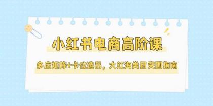 小红书电商高阶课，多店矩阵+卡位选品，大红海类目突围指南（更新5月）-颜夕资源网-第12张图片