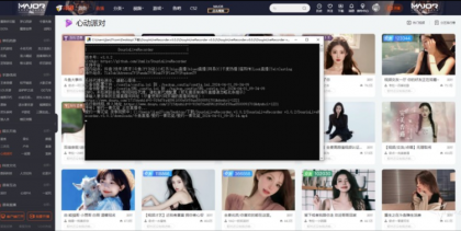 直播录制工具 支持多个平台