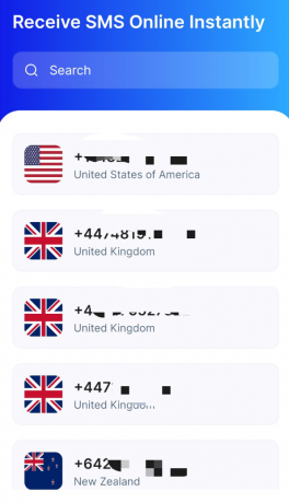 临时虚拟手机号接码用 国内不可用